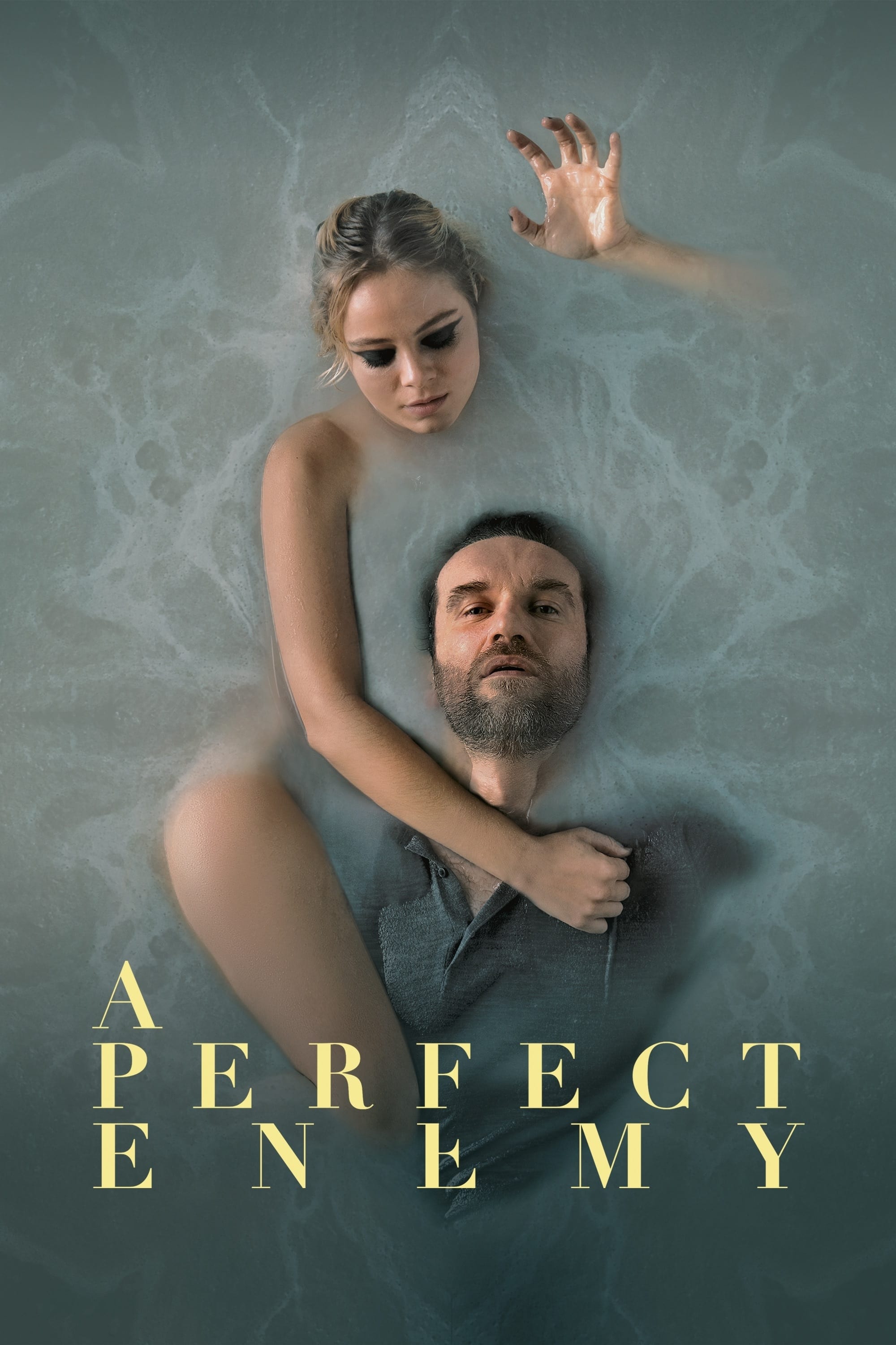 A Perfect Enemy A Perfect Enemy Poster