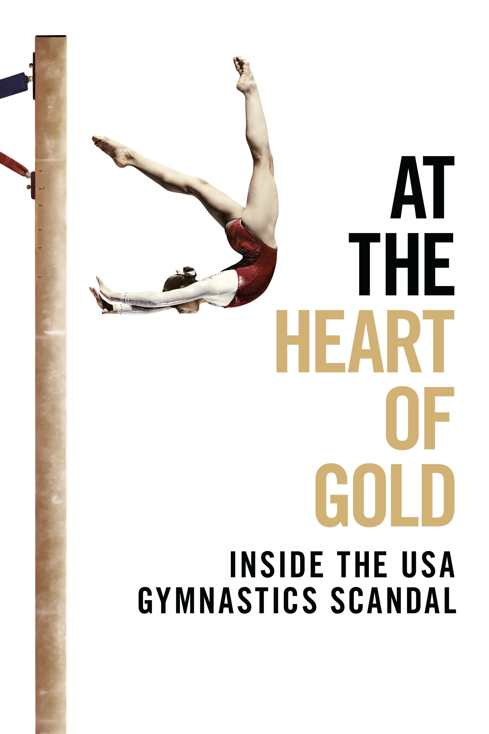 At the Heart of Gold: Inside the USA Gymnastics Scandal At the Heart of Gold: Inside the USA Gymnastics Scandal Poster