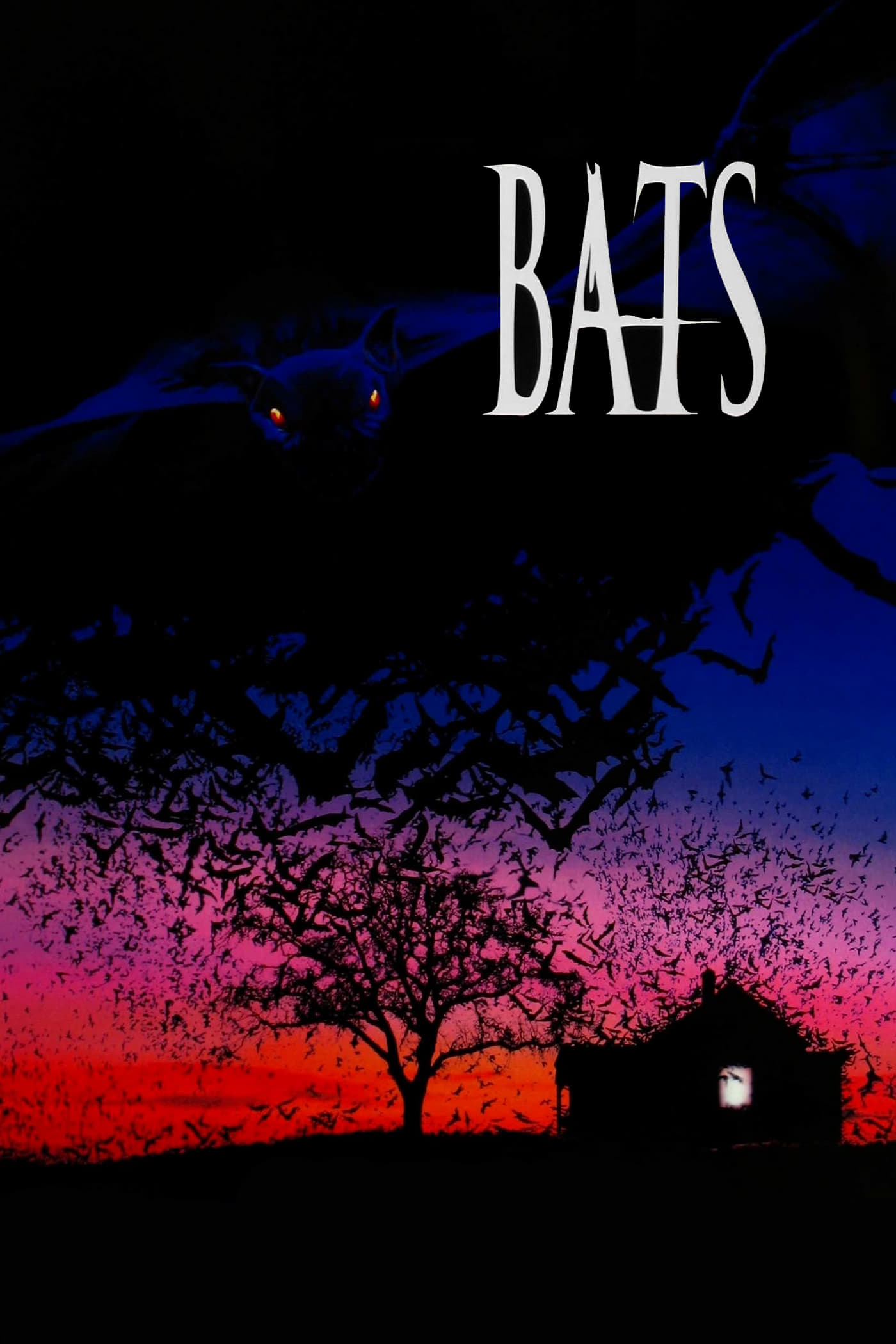 Bats Bats Poster