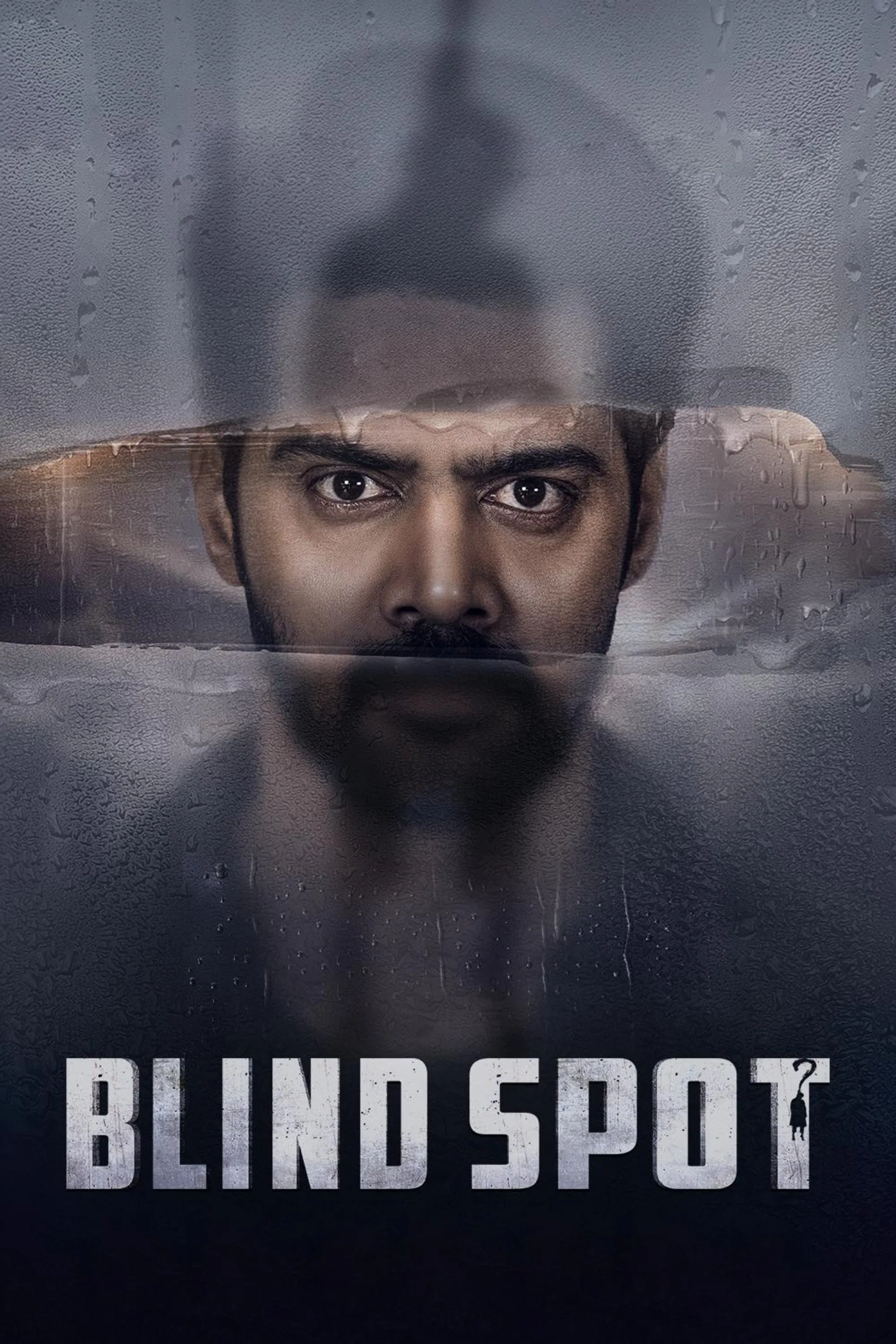 Blind Spot Blind Spot Poster