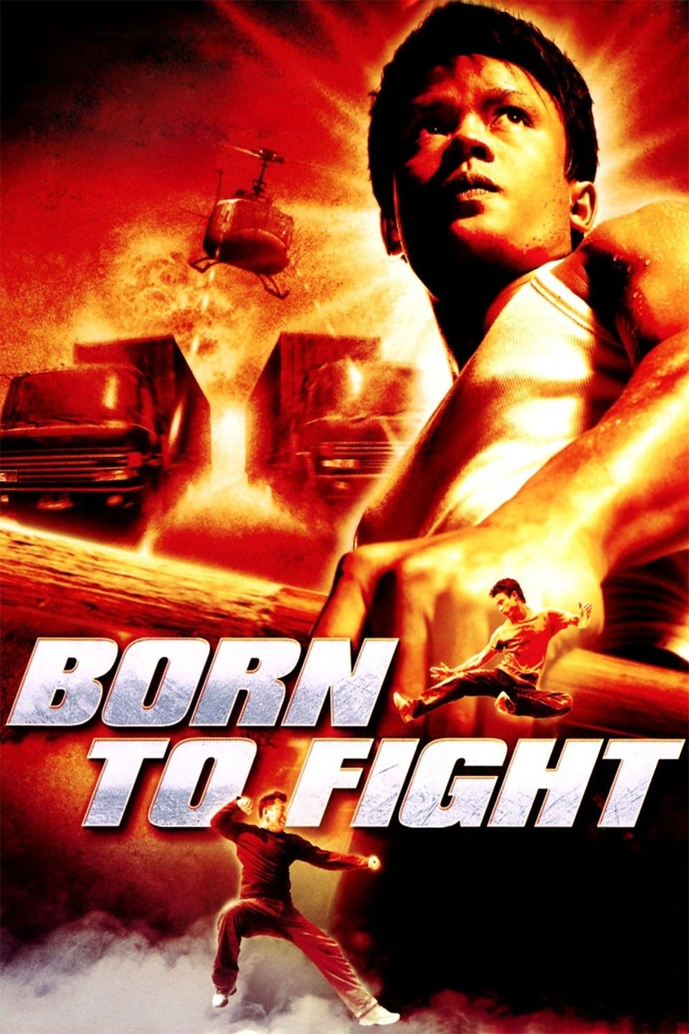 Born to Fight Born to Fight Poster