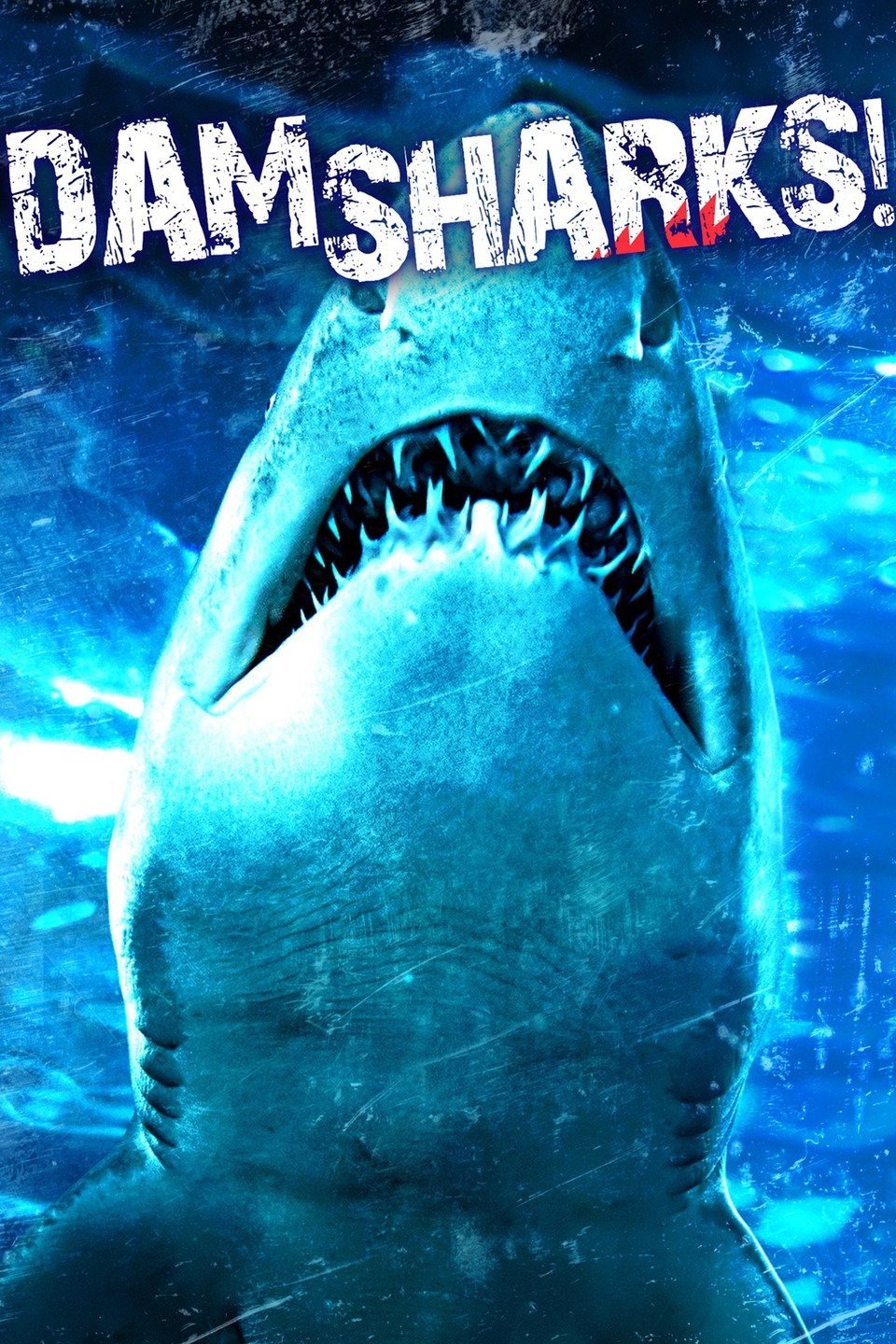 Dam Sharks Dam Sharks Poster