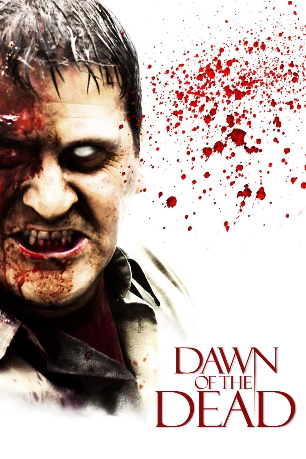 Dawn of the Dead Dawn of the Dead Poster