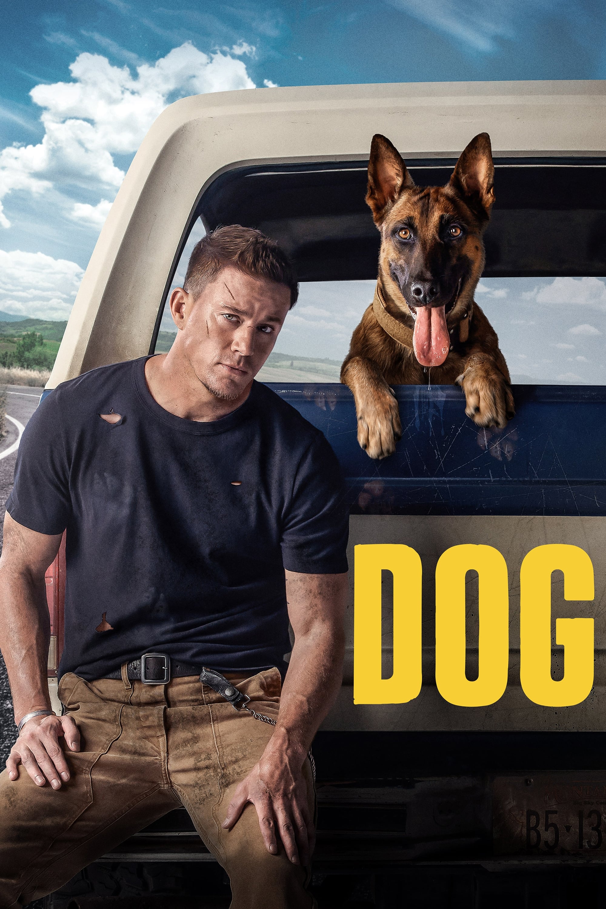Dog Dog Poster