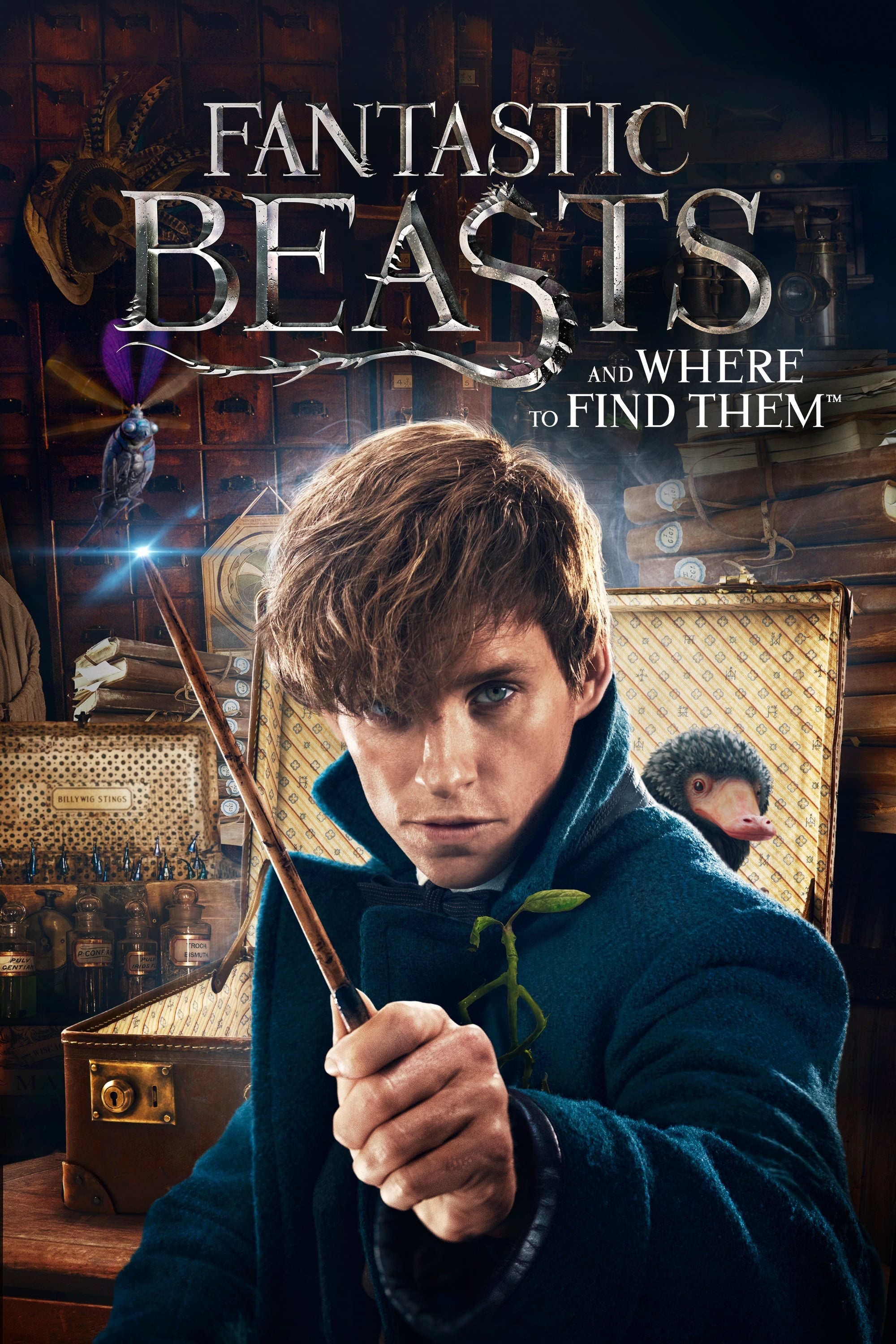 Fantastic Beasts and Where to Find Them Fantastic Beasts and Where to Find Them Poster