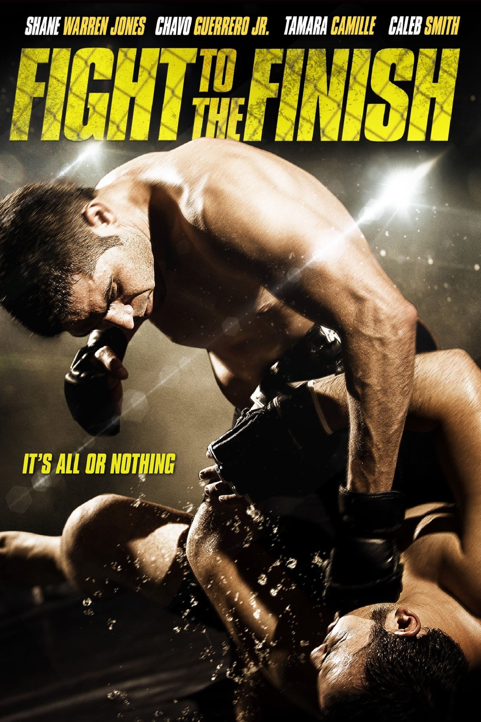 Fight to the Finish Fight to the Finish Poster
