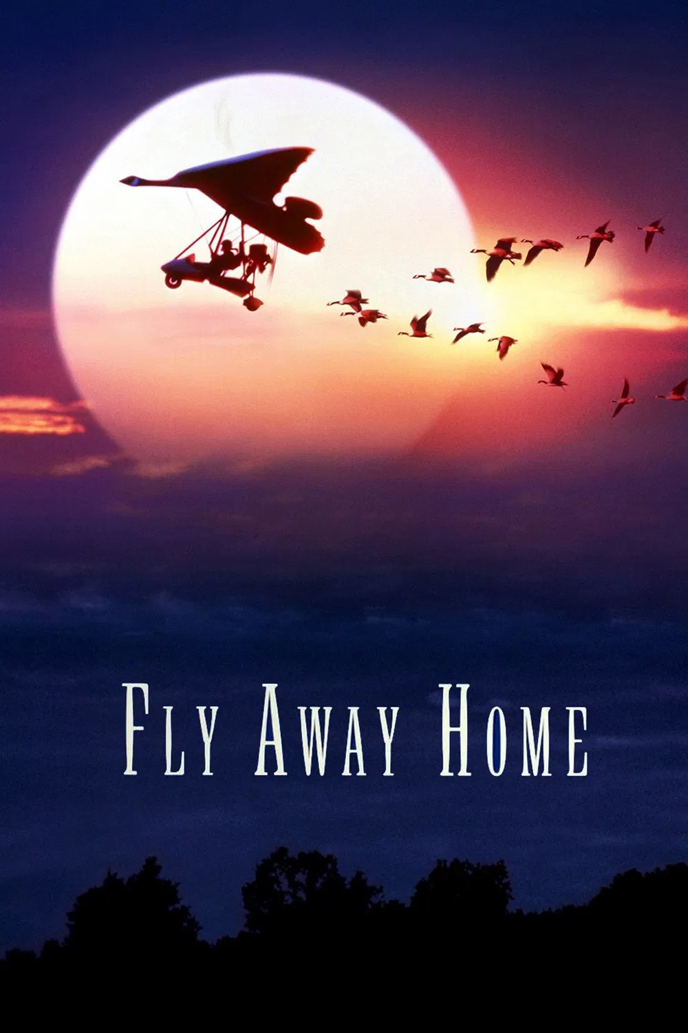 Fly Away Home Fly Away Home Poster