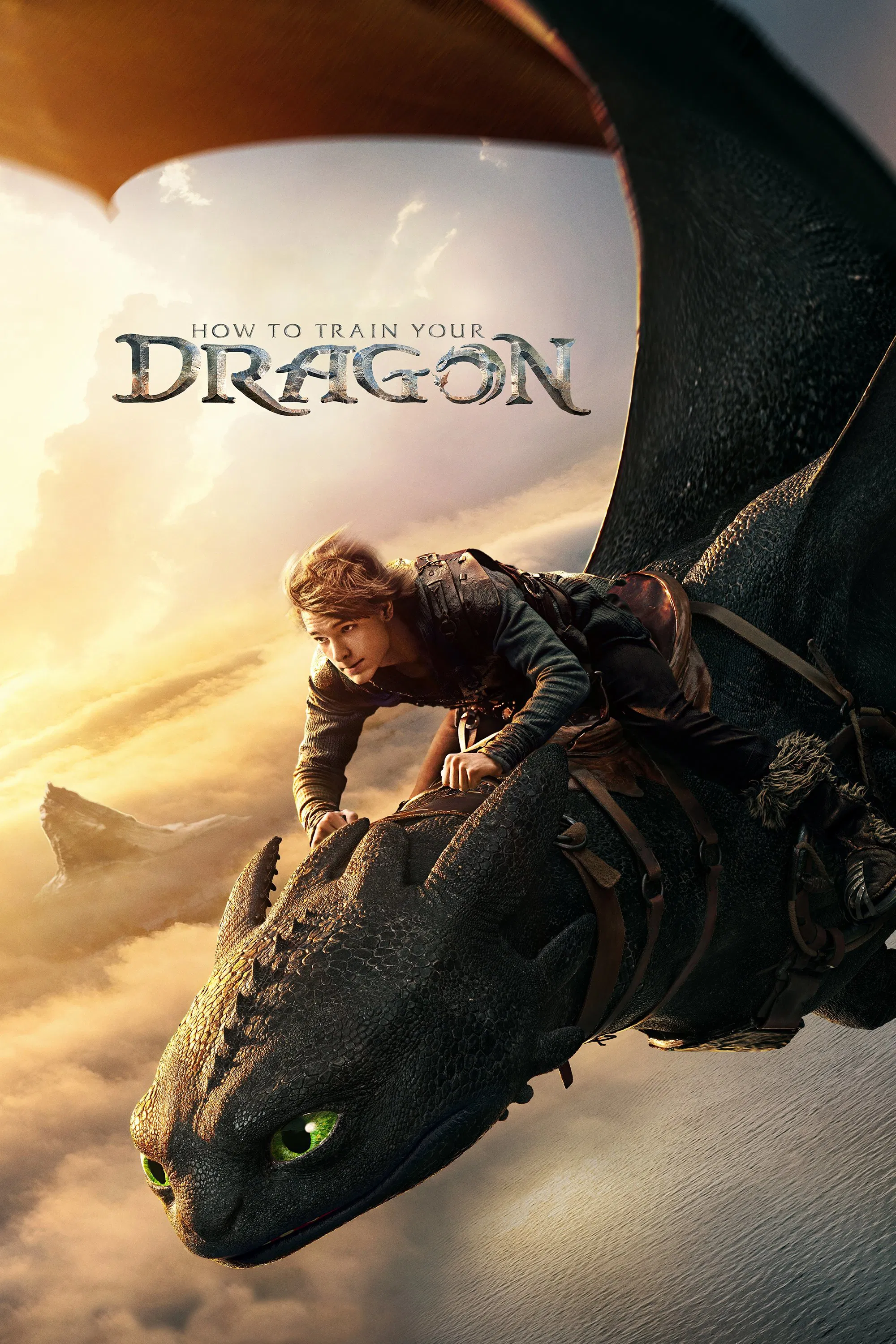 How to Train Your Dragon How to Train Your Dragon Poster