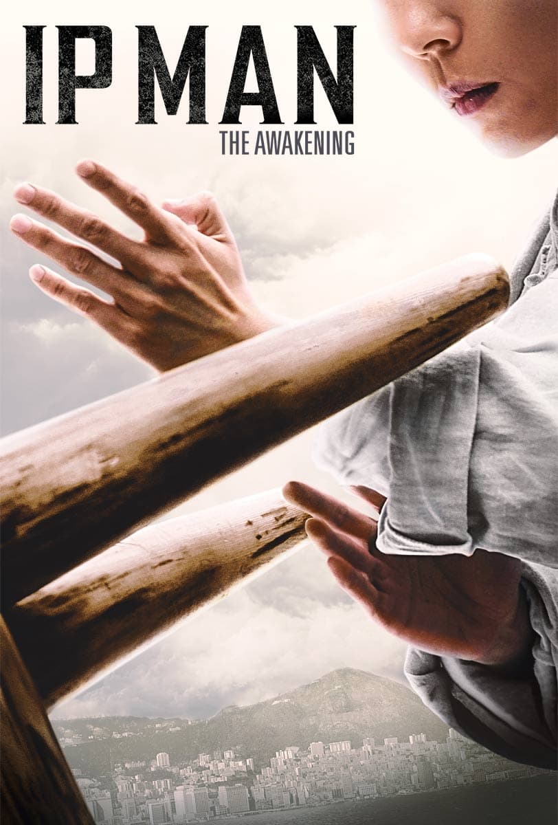 Ip Man: The Awakening Ip Man: The Awakening Poster