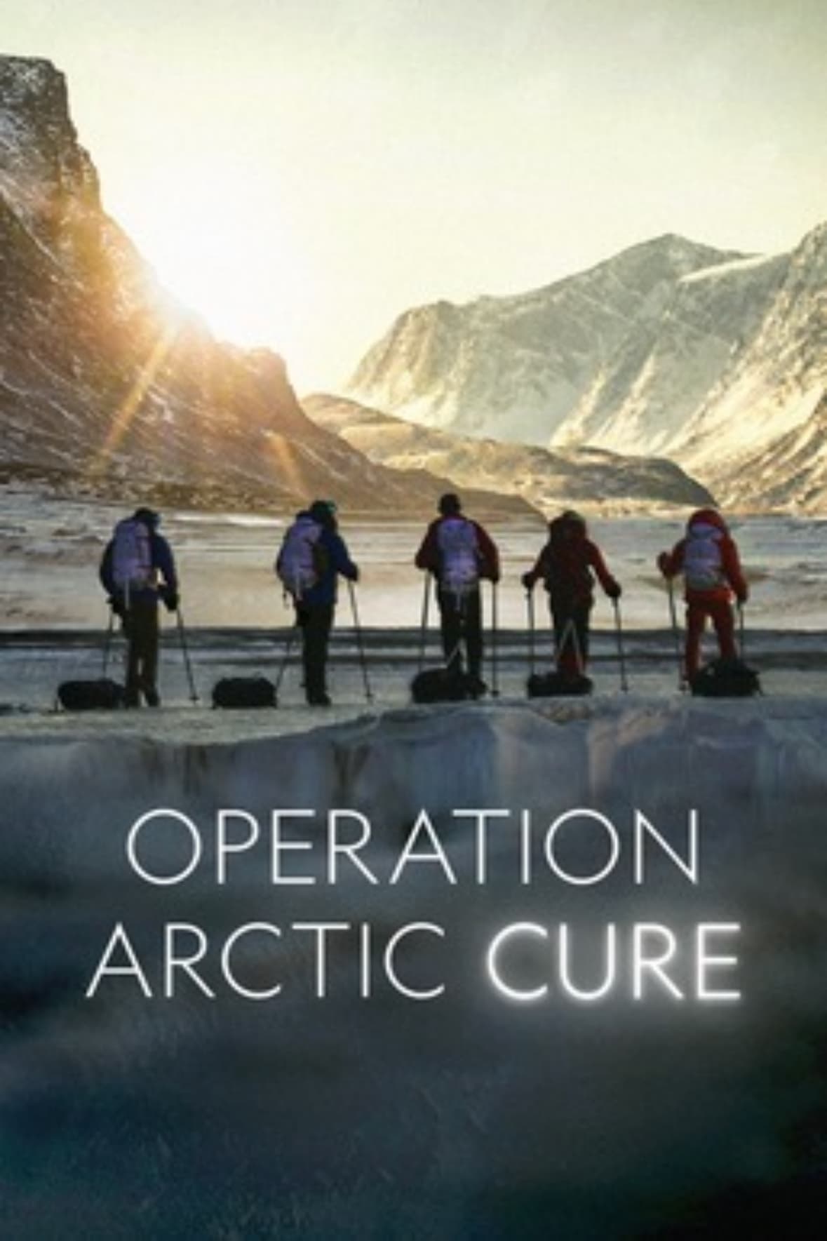 Operation Arctic Cure Operation Arctic Cure Poster