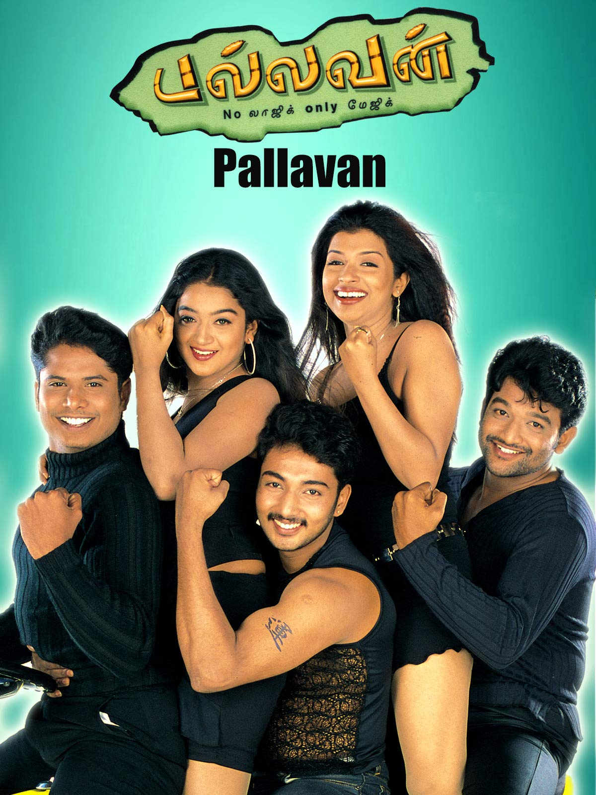 Pallavan Pallavan Poster