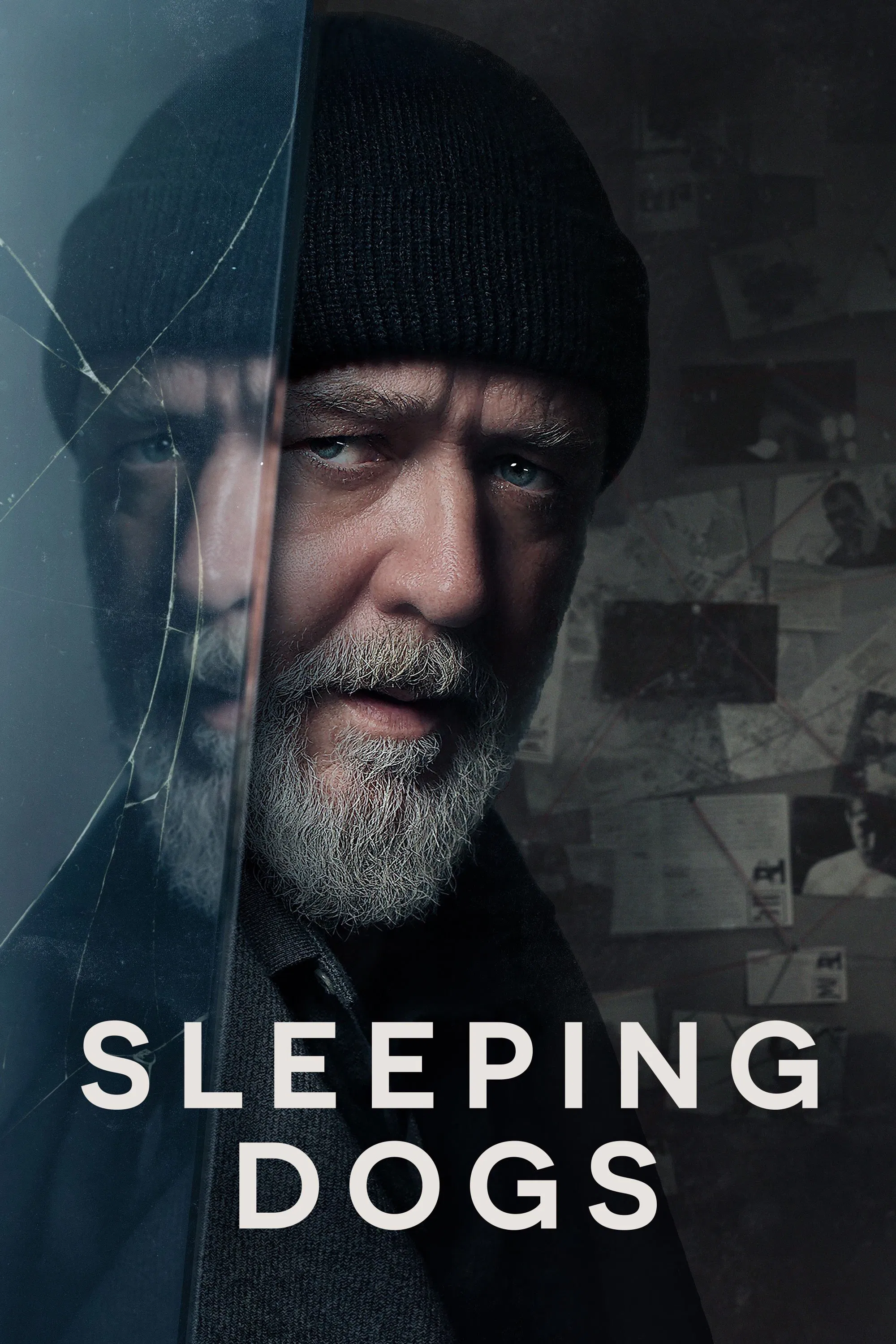 Sleeping Dogs Sleeping Dogs Poster