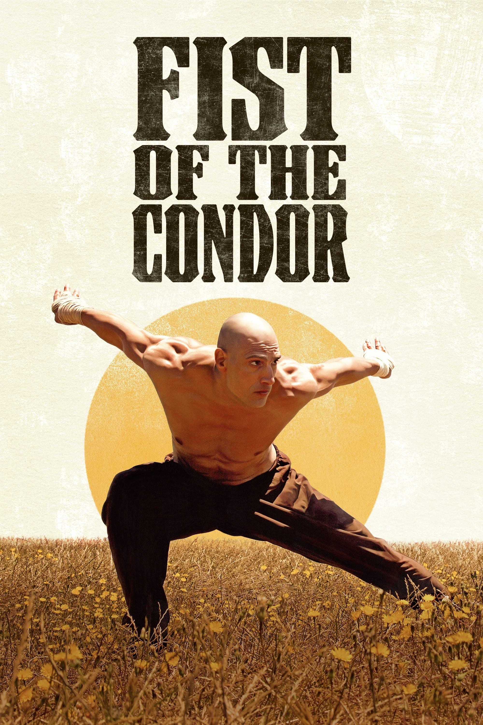 The Fist of the Condor The Fist of the Condor Poster