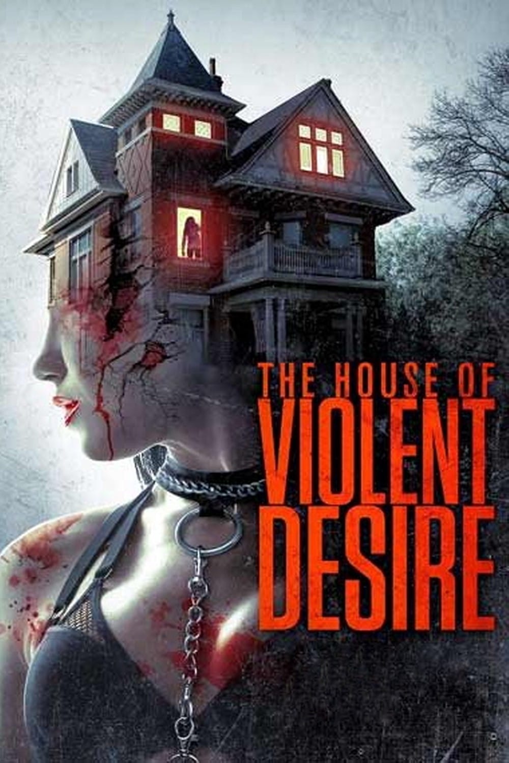The House of Violent Desire The House of Violent Desire Poster
