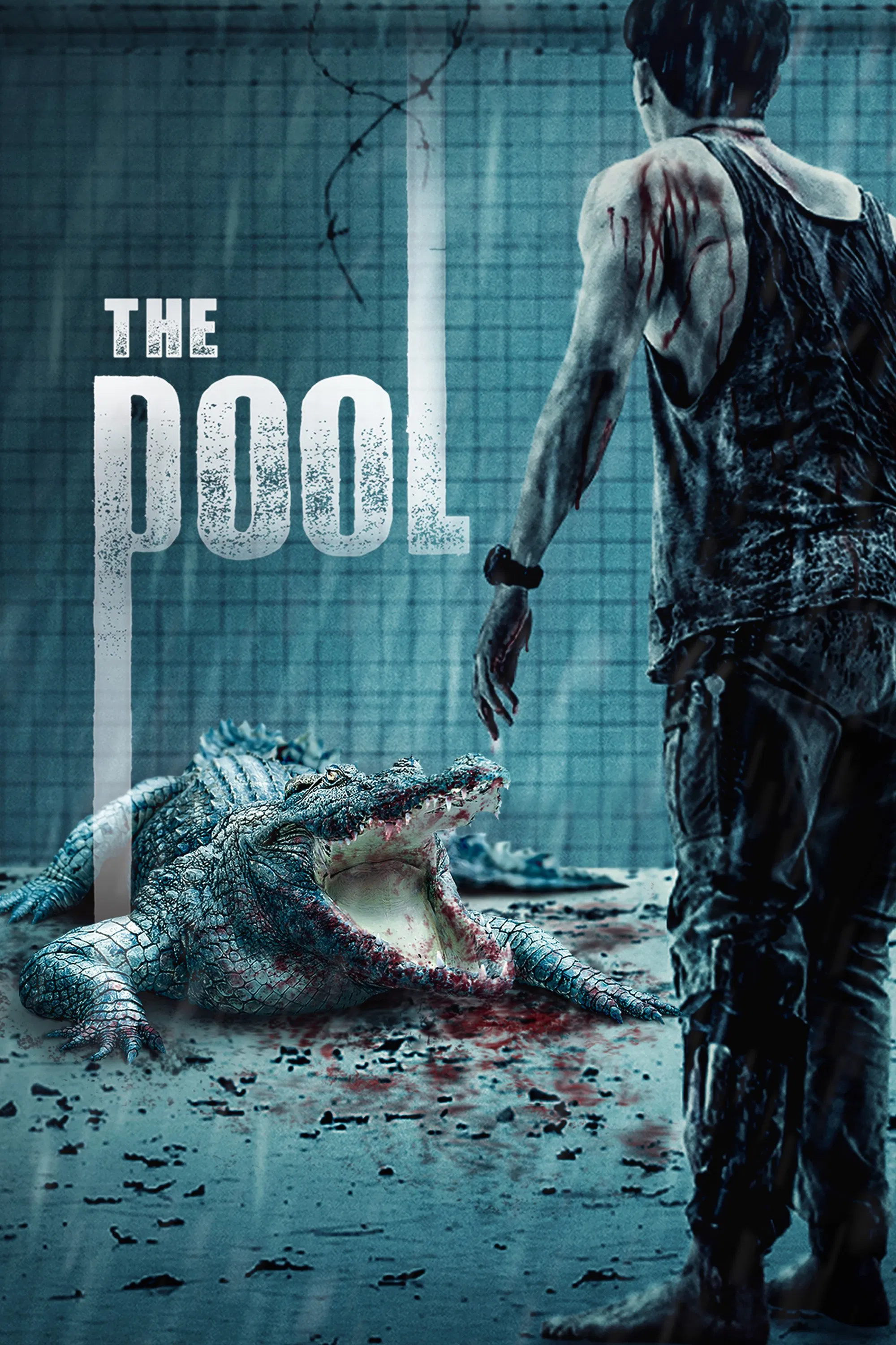 The Pool The Pool Poster