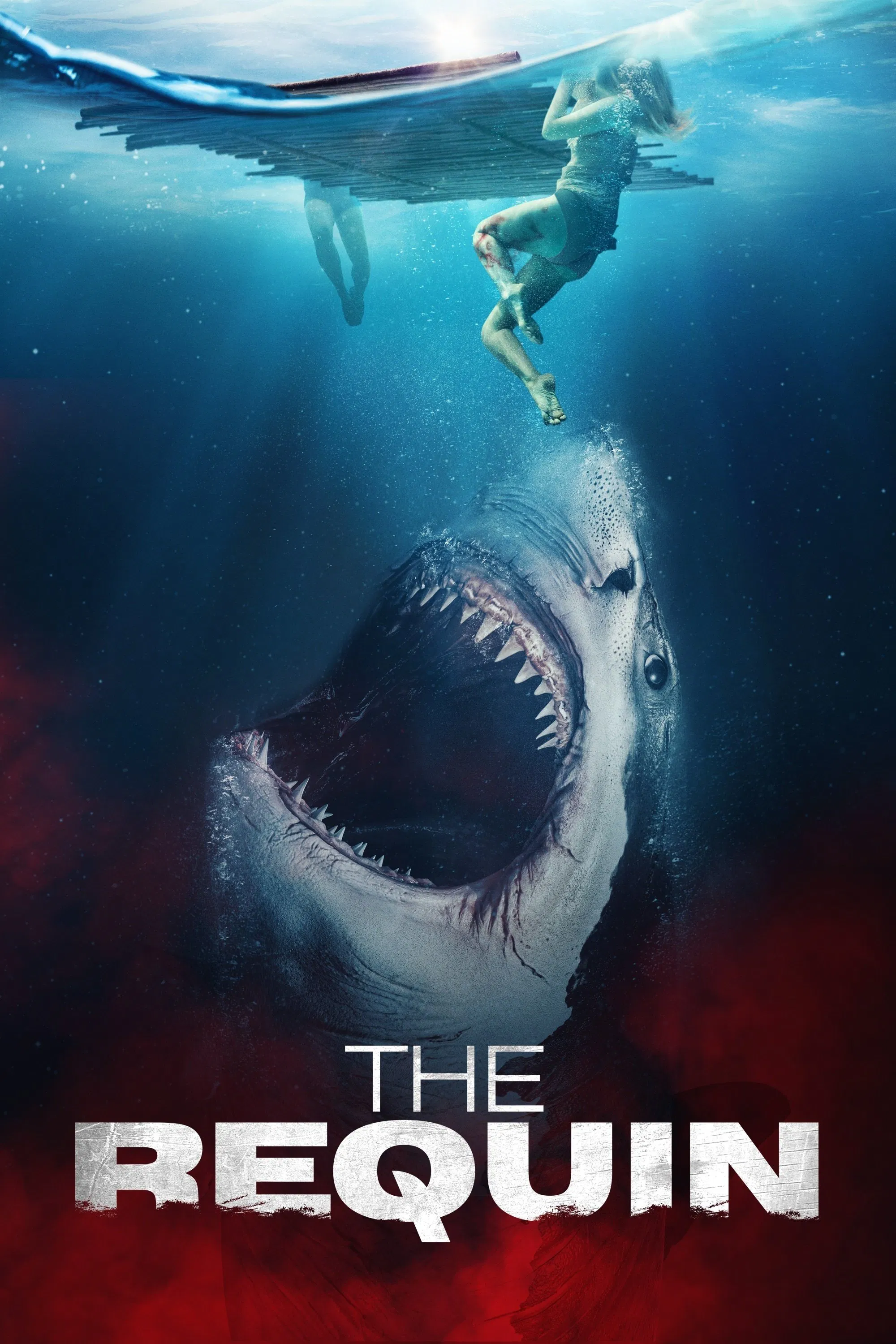 The Requin The Requin Poster