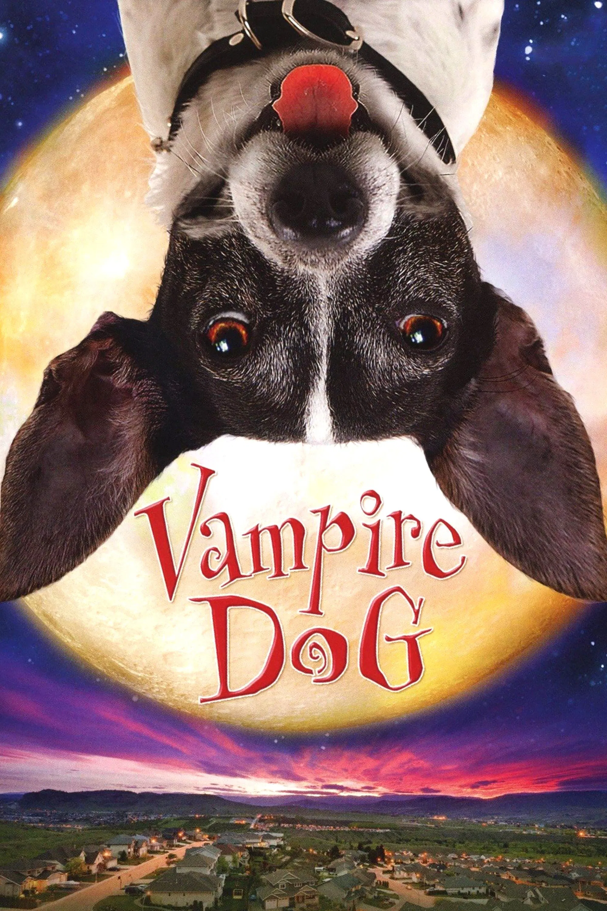 Vampire Dog Vampire Dog Poster