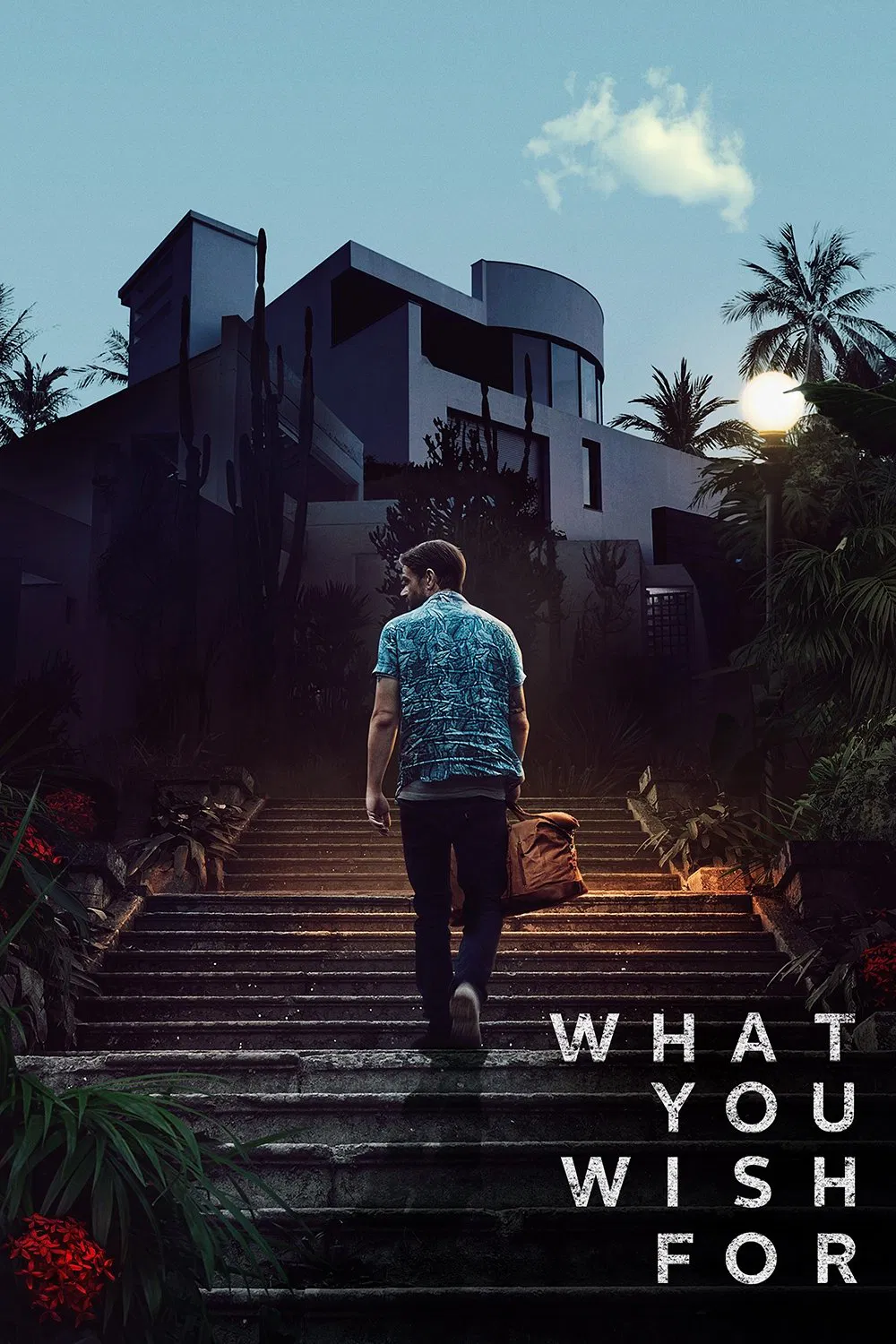 What You Wish For What You Wish For Poster
